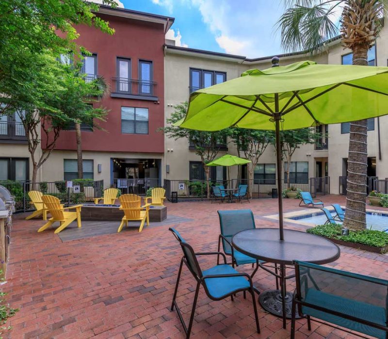Vue-Fitzhugh-(2)