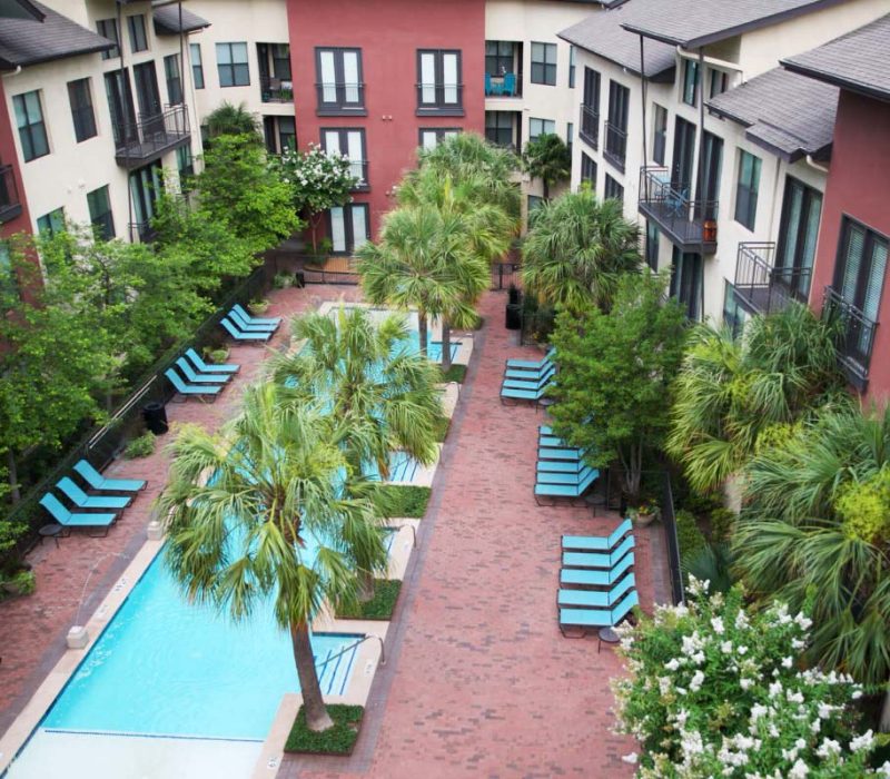 Vue-Fitzhugh-(5)