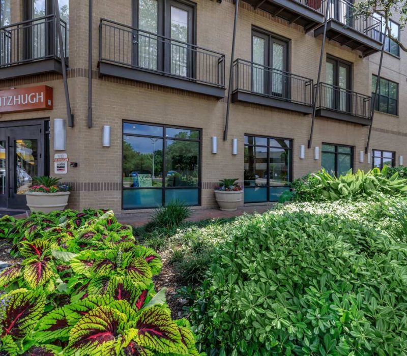Vue-Fitzhugh-(6)