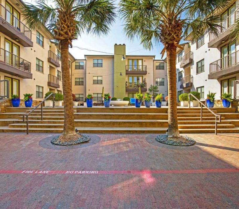 Vue-Live-Oak-(2)
